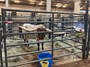 DW FAST STUFF pictured at the 2023 LEGENDS SALE in Duncan, Oklahoma 